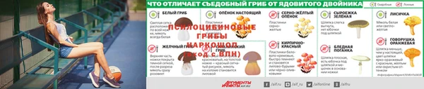 меф Богородицк